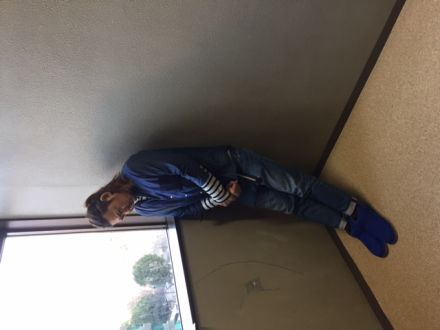 2017年1月4日（水）店のおじさんとたいやきくんの ケンカの理由！