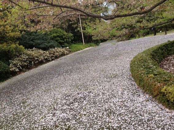 4月8日（金） simple style