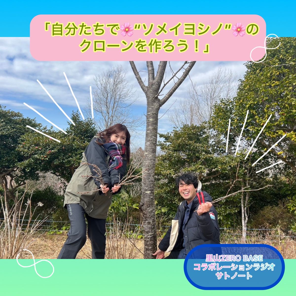 【＃５１　自分たちでソメイヨシノのクローンを作ろう！　】～Sato Note