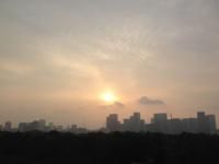 ５月２６日（月）