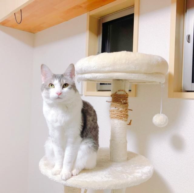 3月4日（月）今日の1コマ　