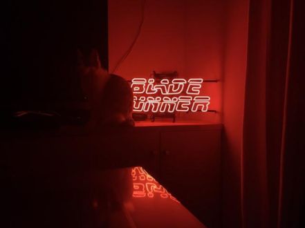 12月31日（月）今日の1コマ　