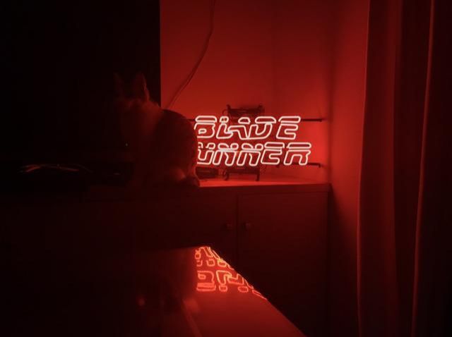 12月31日（月）今日の1コマ　