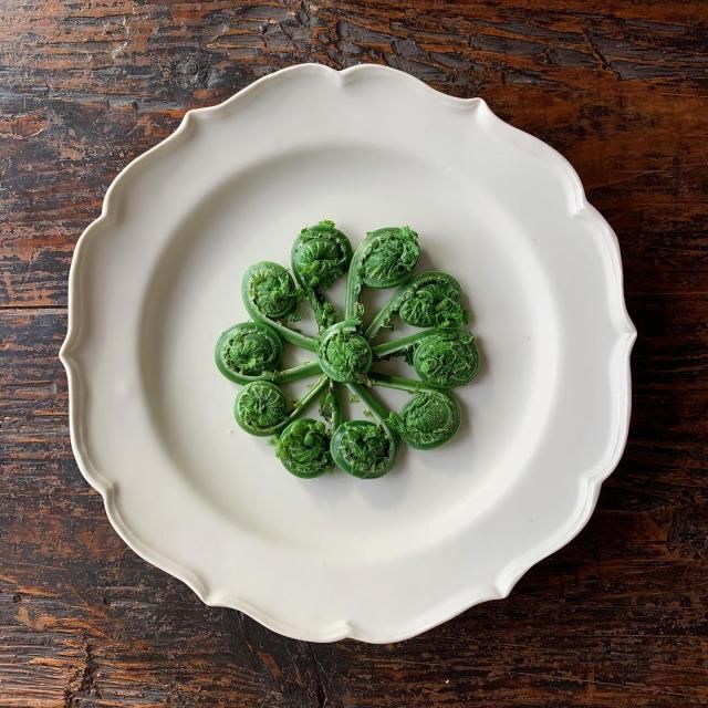 5月21日(火)今日の1コマ♪