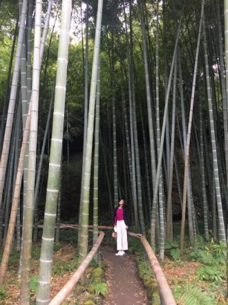 11月15日（木）今日の一コマ♪