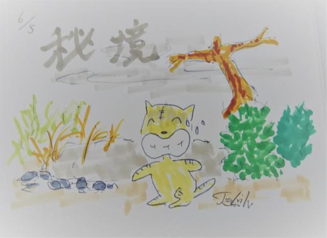 川口浩探検隊！気分で