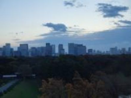 １１月２８日（木）