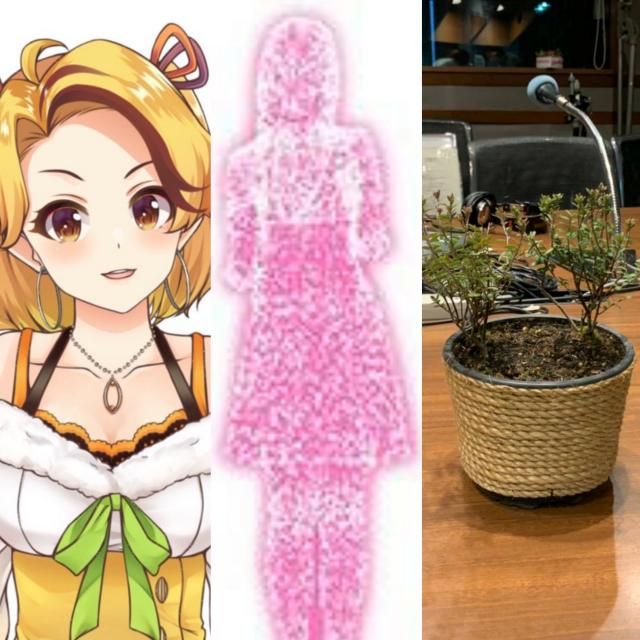 8月12日(水)　超ニコパクで見れるのはエッティの木だけ