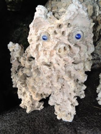 2015年1月16日（金）今日の1コマ