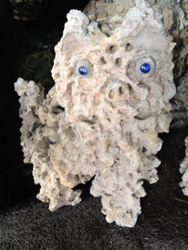 2015年1月16日（金）今日の1コマ