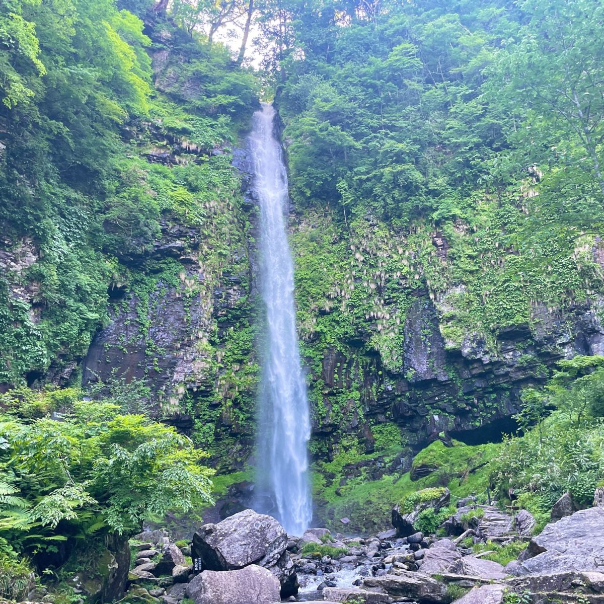 日本の滝100選にも選ばれた落差約60ｍ、東海一の名瀑・阿弥陀ヶ滝 【CITROEN BERLINGO LONG】（岐阜県郡上市白鳥町・阿弥陀ヶ滝）