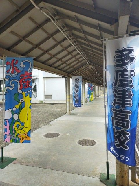 お宝ファイルNO.90　多度津高校ミニ水族館