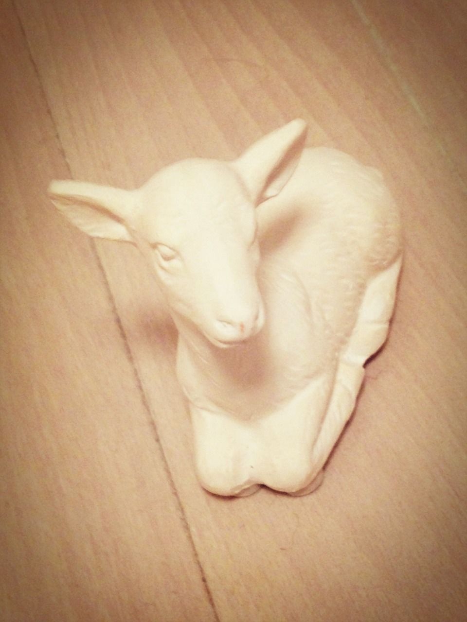 2015年1月14 日（水）今日の1コマ