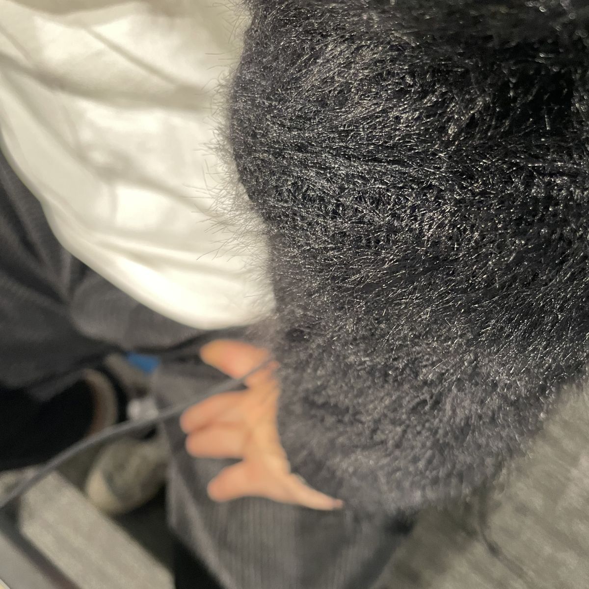 クリープハイプ 尾崎世界観 声にしがみついて　アフタートーク Vol.76