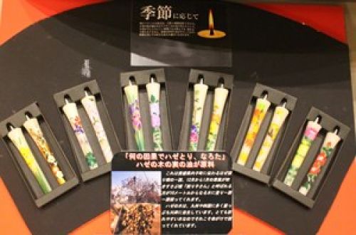 素晴らしき伝統にふれる兵庫の旅