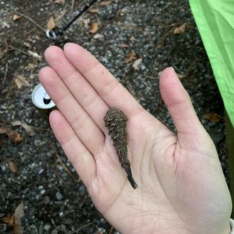 12月10日（木）今日の1コマ