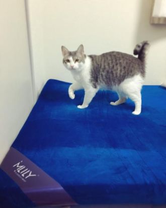 1月2日（月）今日の1コマ