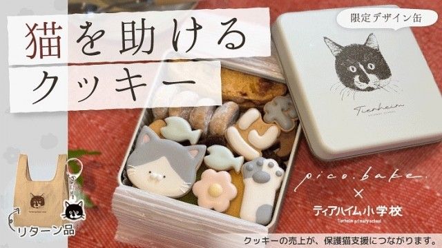 『猫の「クッキー缶」で保護猫たちを助けたい！』