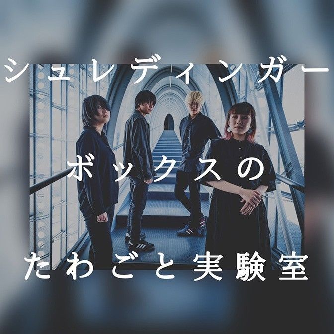 シュレディンガーボックスのたわごと実験室