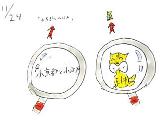 11月24日（月・祝）のデリフラは・・・・