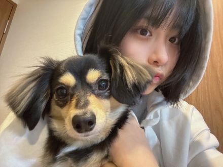 メルカリでポチりました