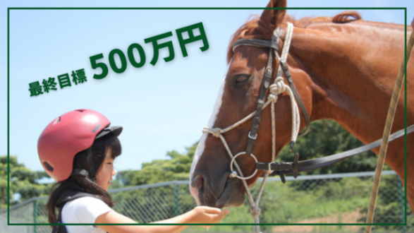 「空山ポニー牧場|馬と子どもたちのための井戸掘りへの挑戦にご支援を!」