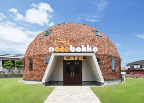 お宝ファイルNO.98　　necobokko　cafe