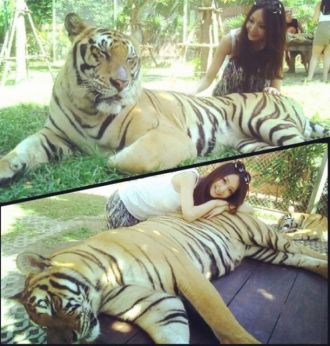 4月24日（水）今日の一コマ