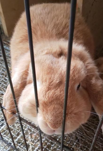 12月23日（水）Micro Cottonタオル当選者発表！