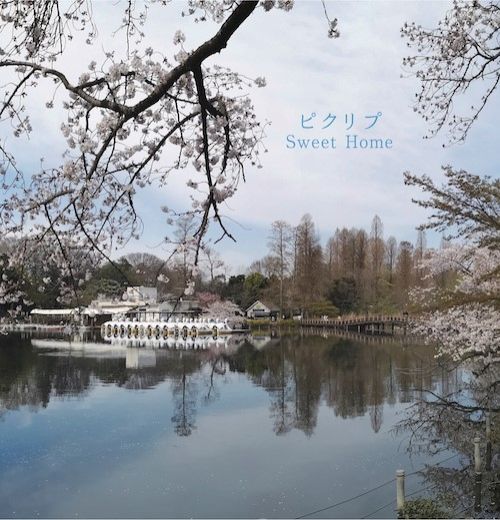 あなたの今年のハイライトは？