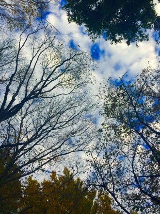 11月18日（水）今日の1コマ