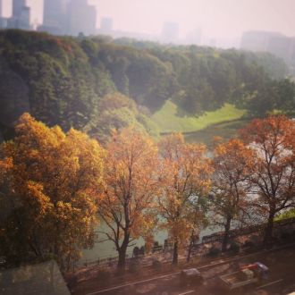 11月18日（水） simple style