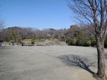 東京発どこ行くツアー～飛鳥山編～