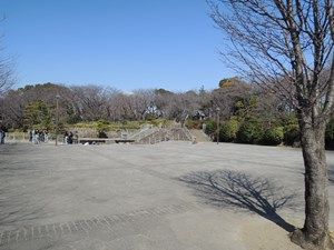 東京発どこ行くツアー～飛鳥山編～