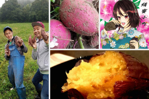 科学者がサツマイモ農家に転身！／Tagosunふぁ～む・福間友英さん