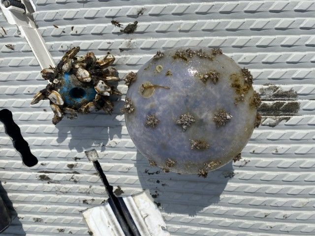 斉藤リョーツのいただき！ビーチ！