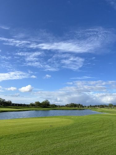 藤井悠のいただき！ワイハ！