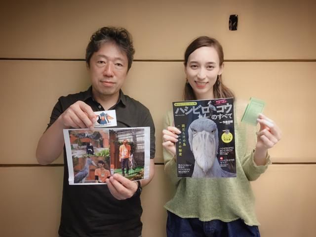 謎と魅力たっぷりのハシビロコウの世界！