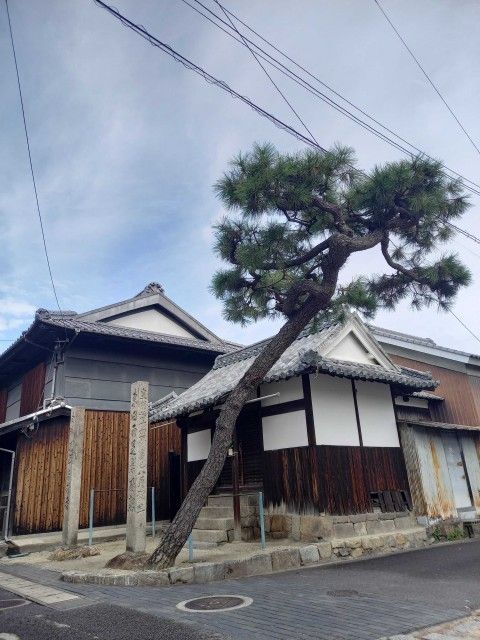 第135回「宇多津古今をつなぐ協議会、とは！」2024.10.22