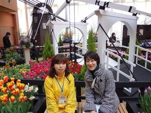 日本一のチューリップ王国・富山～カラフルに彩る砺波の旅～