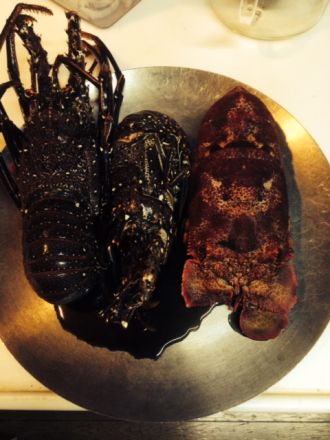 斉藤リョーツのいただき！美味いに決まってる！！