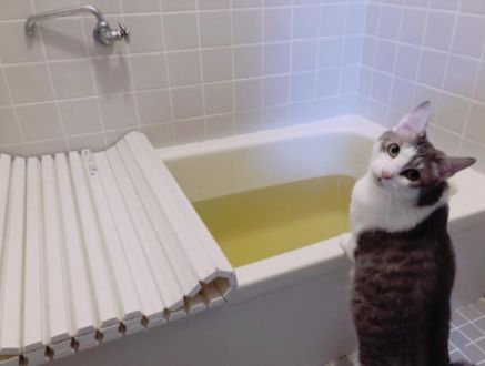 6月2日(火)今日の1コマ！