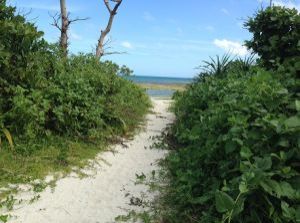 沖縄の離島「小浜島」と「竹富島」体験記