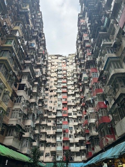 藤井悠のいただき！台湾