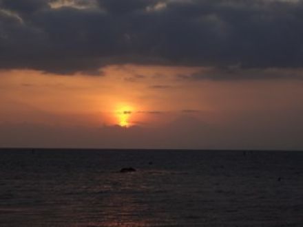 ミシュラン２つ星獲得！春の三浦半島の旅 西海岸編