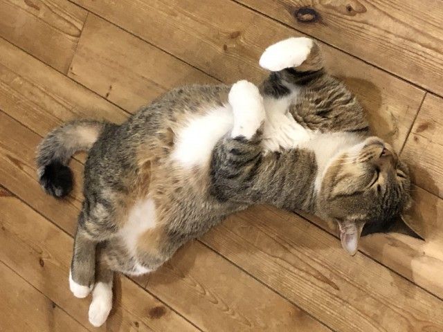 3月20日（水）Song List♪