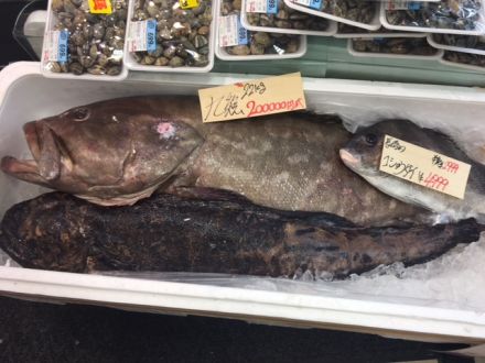 斉藤リョーツのいただき！ぎょぎょぎょ！