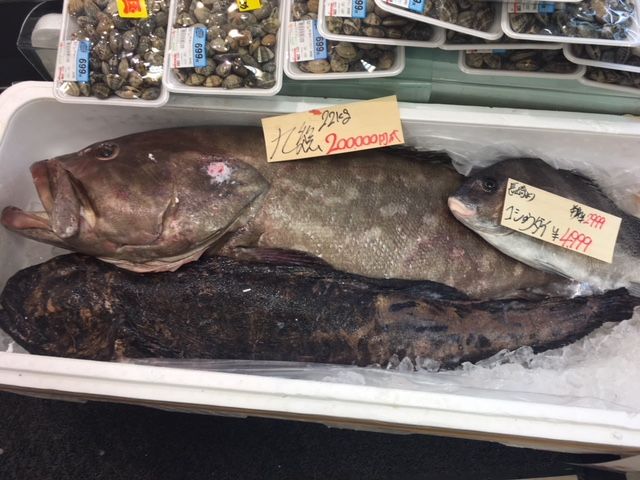 斉藤リョーツのいただき！ぎょぎょぎょ！