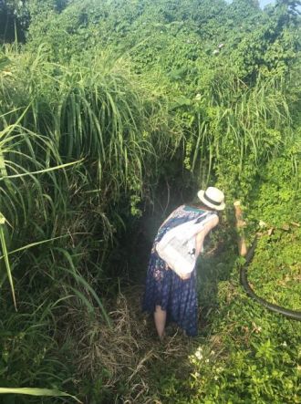 5月8日（火）今日の1コマ