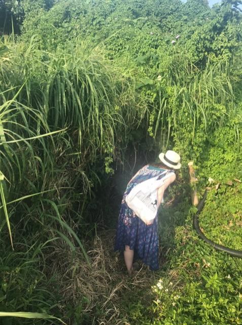 5月8日（火）今日の1コマ